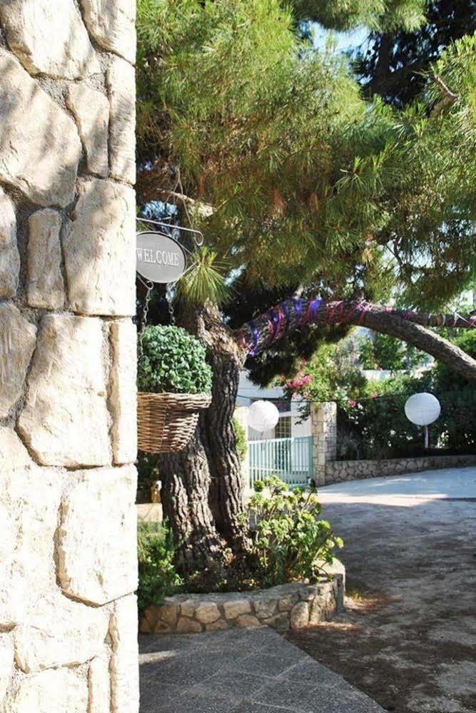 123 Soleil Apartmán Agia Marina (Aegina)